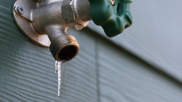 Best Affordable Plumbing Services  in Lakeland, TN