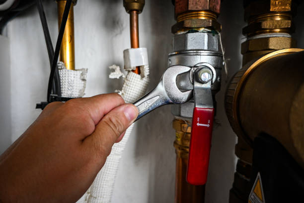 Best Leak Detection Services  in Lakeland, TN